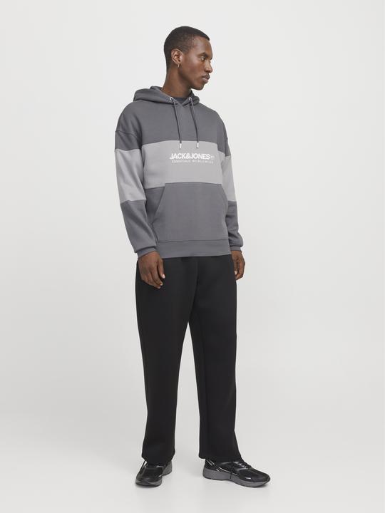 Immagine prodotto Jack & Jones Jjelegacy Blocking Sweat Hood Noos (XS)