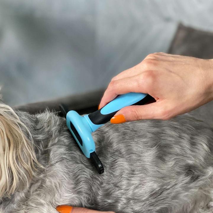 Actual product image Intirilife Animal hair brush (Dog, Cat)