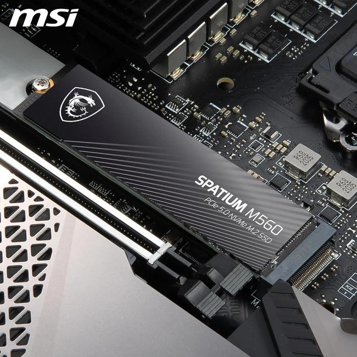 Actual product image MSI Spatium M560 (2000 GB, M.2 2280)