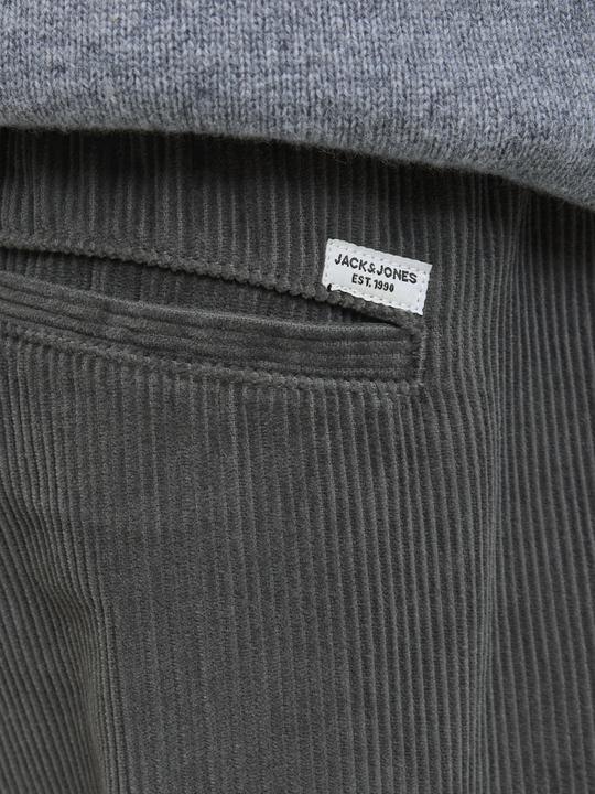 Image du produit Jack & Jones Jpstkane Corduroy Jogger Sn (L)