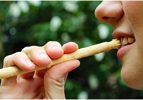 Produktbild Unicorn Miswak Zahnpflegeholz (Mittel, 1 x)