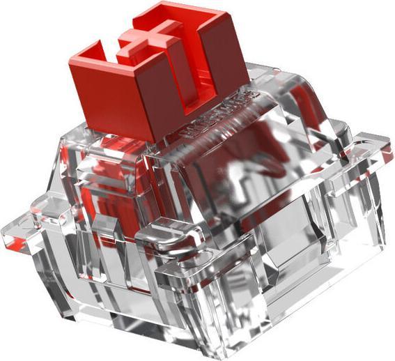 Actual product image Glorious HE Switches (36pcs) - Fox - Lubed - (Linear) 45g