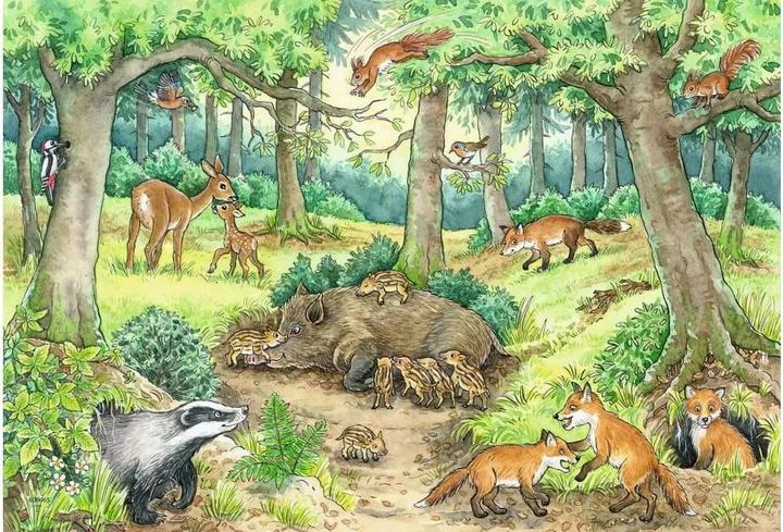 Produktbild Ravensburger Wieso? Weshalb? Warum? Tiere im Wald und auf der Wiese (12 Teile)