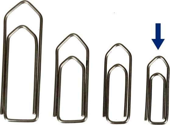 Actual product image Omega Paper clips (1000 x)
