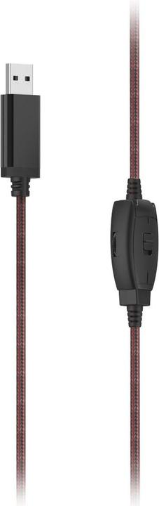 Actual product image Hama HS-USB400 V2 (Cable)