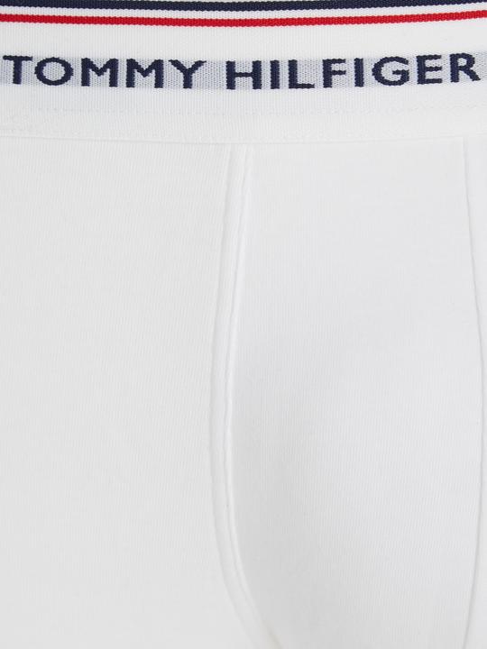 Image du produit Tommy Hilfiger Trunk (L, Lot de 3)