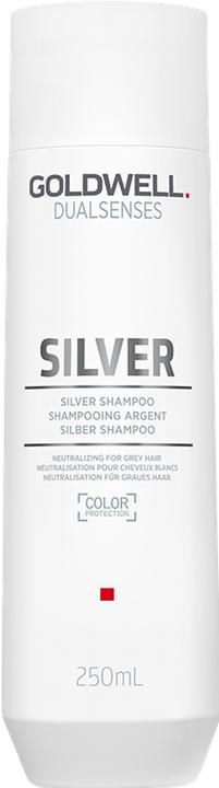 Immagine prodotto Goldwell Dualsenses Argento (250 ml, Shampoo liquido)