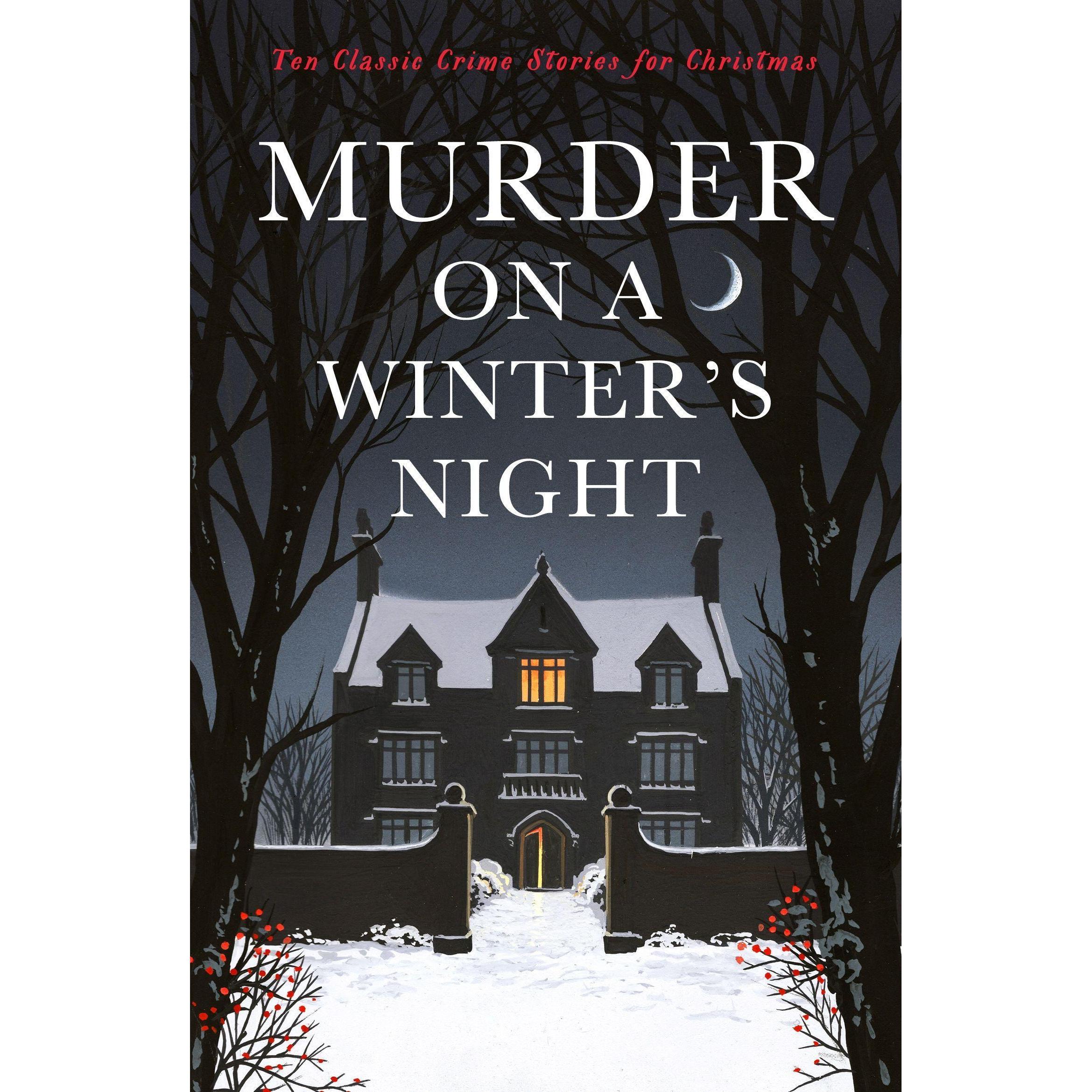 Murder on a Winter's Night, Belletristik von Cecily Gayford