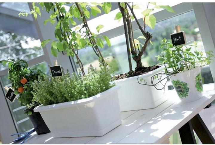 Immagine prodotto Prosperplast Flower box Respana ISE400P, Ø 40 x 18.4 cm (40 x 18.40 x 15 cm)