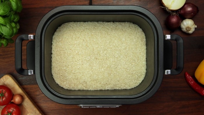 Actual product image Crockpot Multi-Cooker CSC024X
