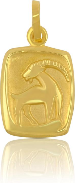 Image du produit Muau Capricorne (Or jaune 750/18K)