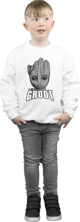 Image du produit - Sweat GUARDIANS OF THE GALAXY GROOT FACE - Garçon (152, 158)