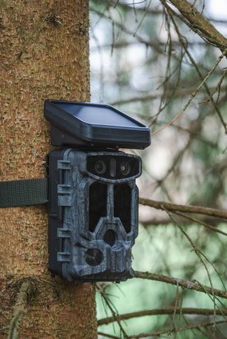 Produktbild Braun Photo Scouting Cam Black1320 Wifi Solar 4K DS