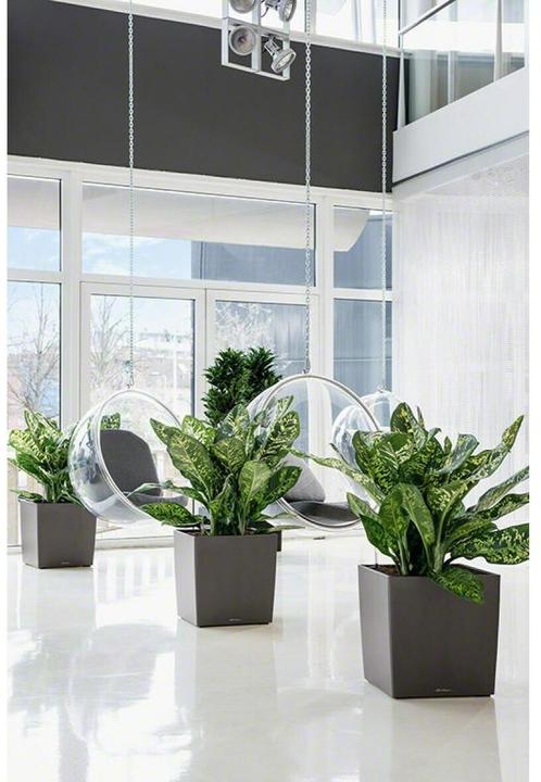 Produktbild Lechuza Cube (49 x 49 x 49.50 cm)