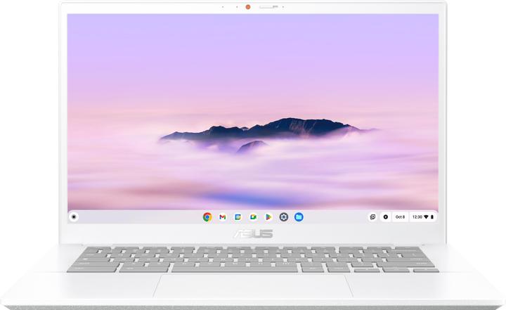Actual product image ASUS Chromebook CX3 (14", 256 GB, 8 GB, DE, Intel Core i5-1335U)