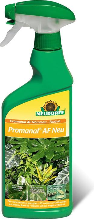 Produktbild Neudorff Promanal AFSchild- & Wolllausfrei (Schildläuse, Thripse, Spinnmilben)