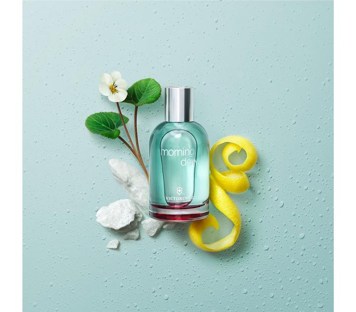 Image du produit Victorinox Morning Dew (Eau de toilette, 100 ml)