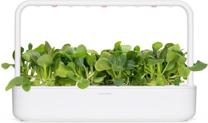 Immagine prodotto Click and Grow Semi Pak Choi (Semi di verdura)