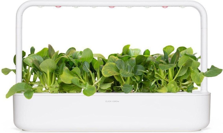 Immagine prodotto Click and Grow Semi Pak Choi (Semi di verdura)