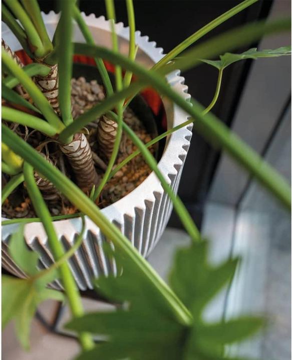 Produktbild Capi Morgan (35 x 34 cm)