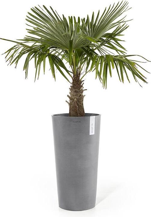 Produktbild Ecopots Amsterdam halbhoch (30 cm)