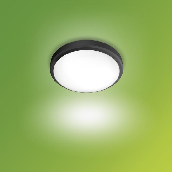 Image du produit Philips Doris (640 lm)