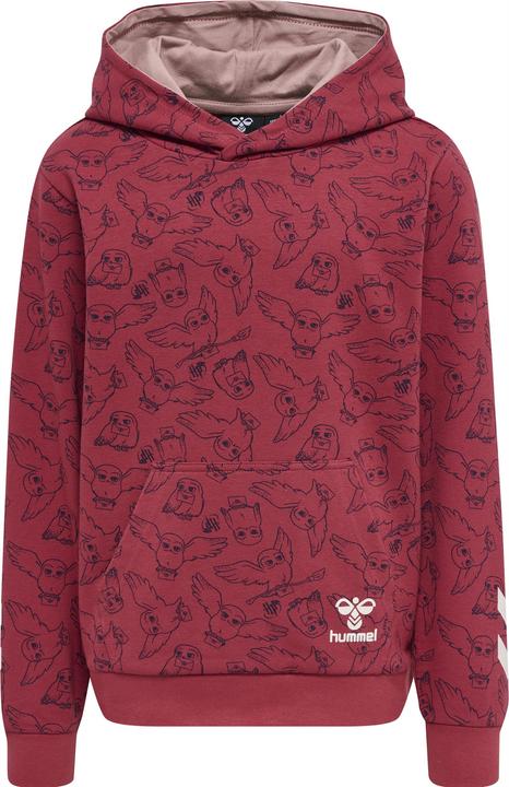 Image du produit hummel Hmlharry Potter Aop Hoodie (116)