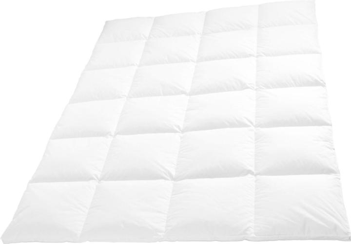 Actual product image Erwin Müller Kassettendecke "Dawson" (1010 g, 155 x 220 cm)