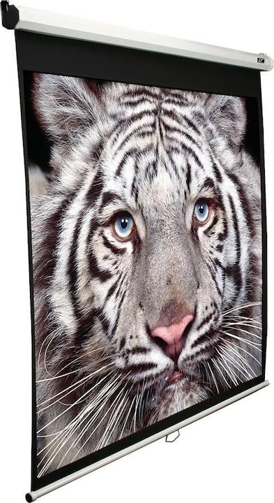 Actual product image Elite Screens Manual (100", 4:3)