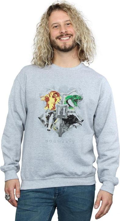 Immagine prodotto Hogwarts Painted Crest Felpa Uomo (XL)