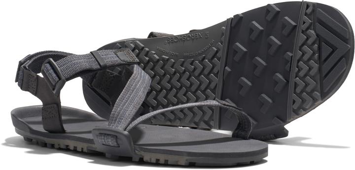 Image du produit Xero Shoes Z-Trail EV M (45)