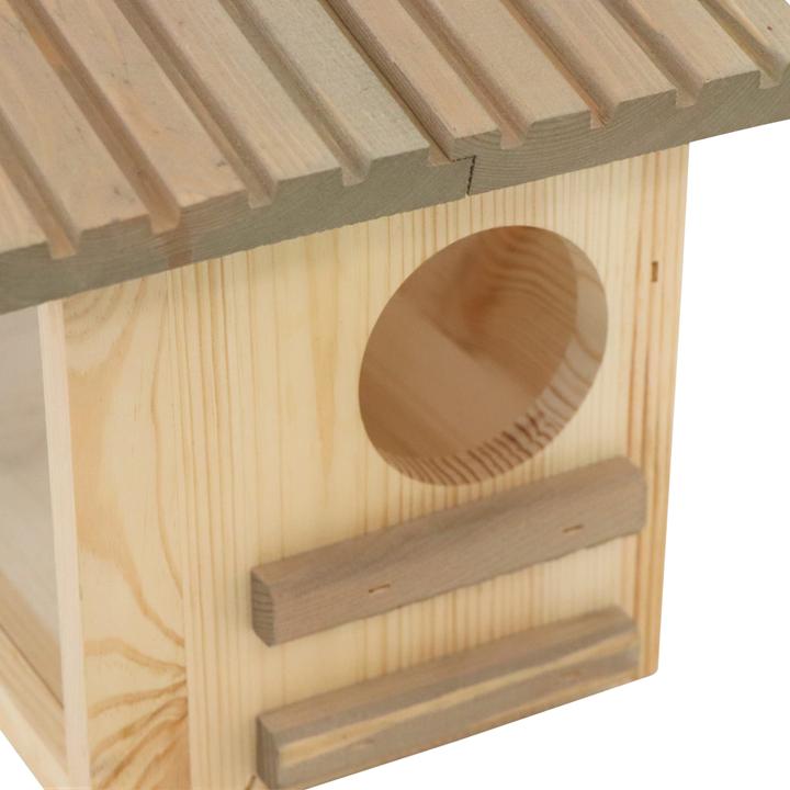 Immagine prodotto Siena Garden Scoiattolo