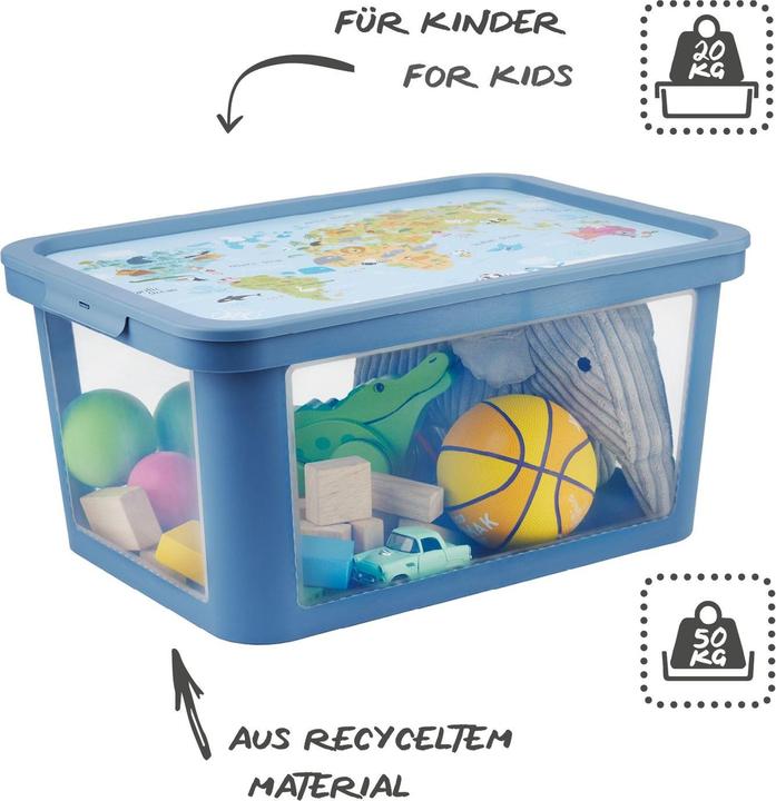 Actual product image Rotho Albris (39.20 cm, 45 l, 1x)