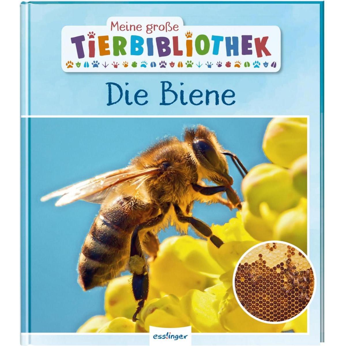 Meine grosse Tierbibliothek: Die Biene, Kinderbücher von Paul Starosta