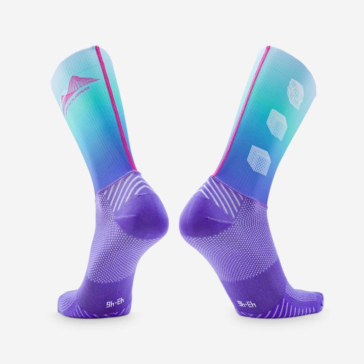 Van rysel RCR R LTD Road cycling socks (43, 46)