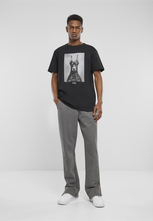 Produktbild Mister Tee Dawg Tee (S)