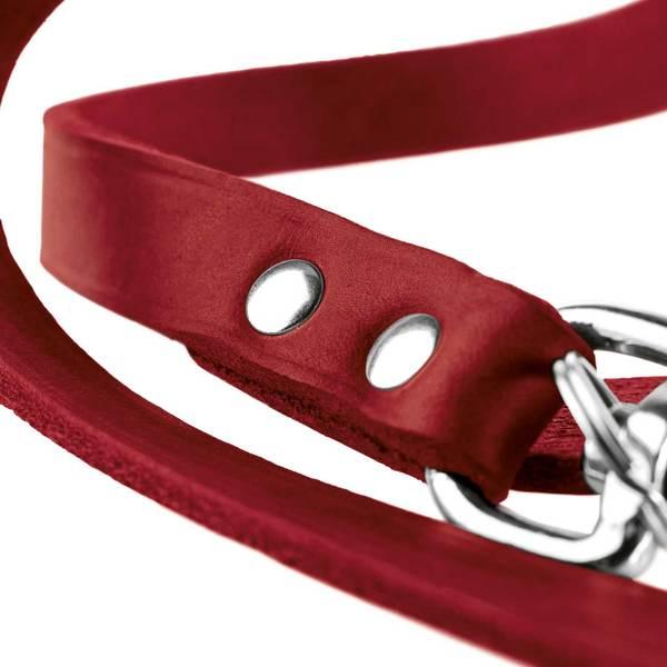 Thumbnail - Hunter Verstellbare Führleine (Hund), Halsband + Leine