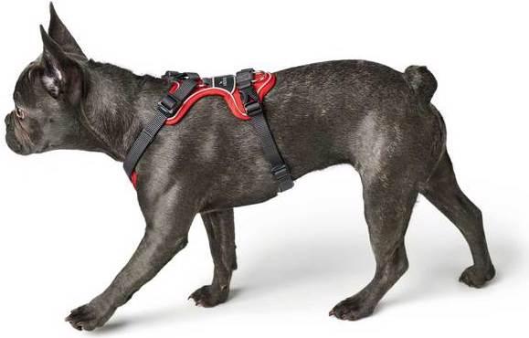 Productafbeelding Hunter Divo servies (L, Hond, Algemeen)