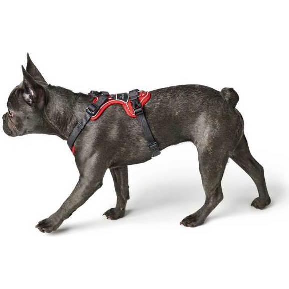 Thumbnail - Hunter Geschirr Divo (L, XL, Hund, Allgemein), Halsband + Leine