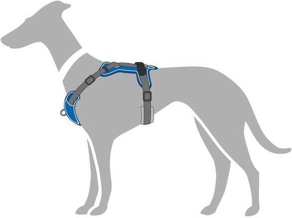 Productafbeelding Hunter Divo servies (L, Hond, Algemeen)