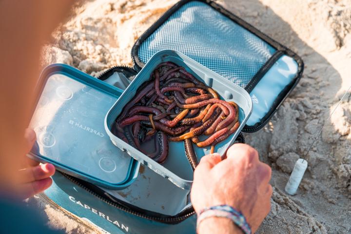 Actual product image Caperlan Cool box soft 5 litres (5 l)