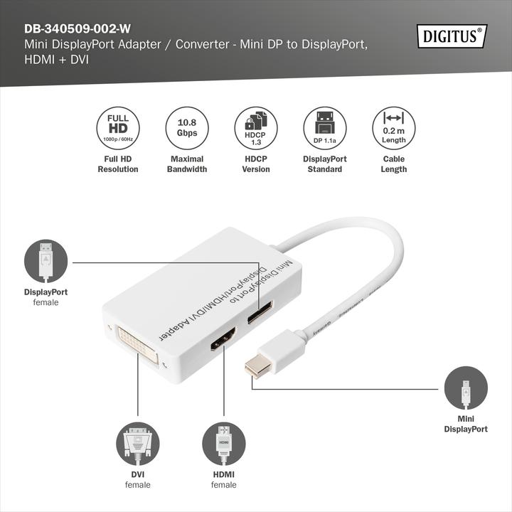 Produktbild Digitus Mini DisplayPort Adapter,Mini DP-DisplayPort (Mini DP, 20 cm)