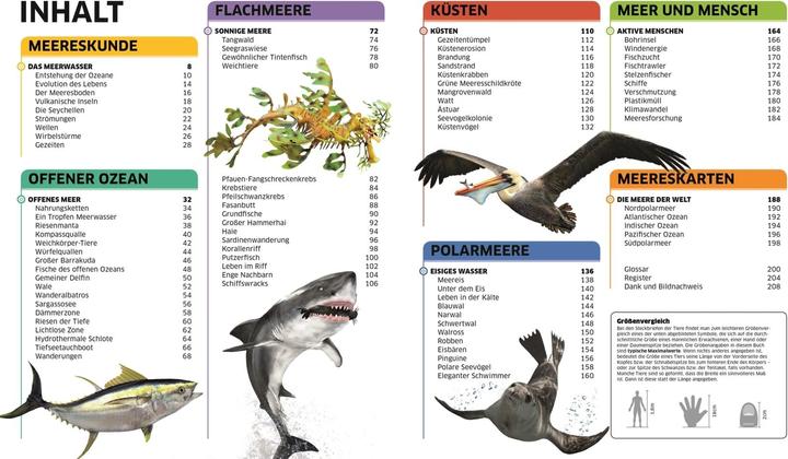Actual product image Wissen. Ozeane (German, John Woodward, Derek Harvey., Nicola Temple, 2021)
