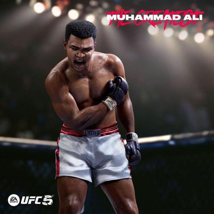 Immagine prodotto EA Games UFC 5 (PS5, EN)