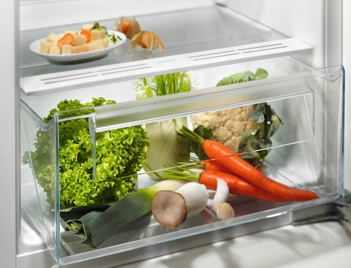 Image du produit Electrolux EK242SRWE (214 l)