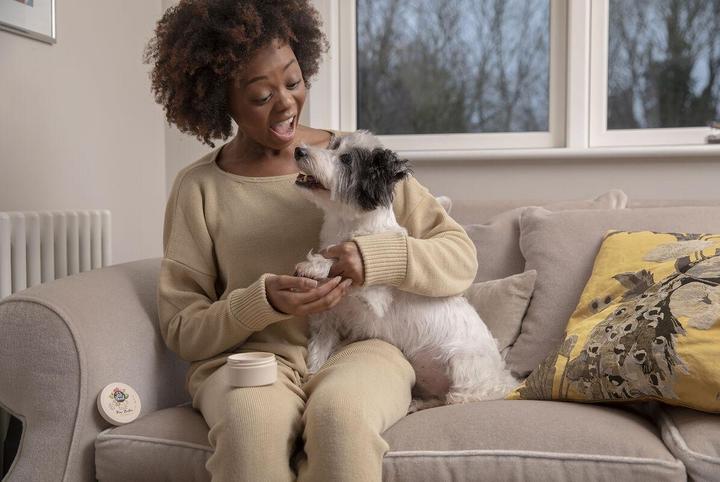 Immagine prodotto Pet Head Burro di zampa (Cane, 40 ml)