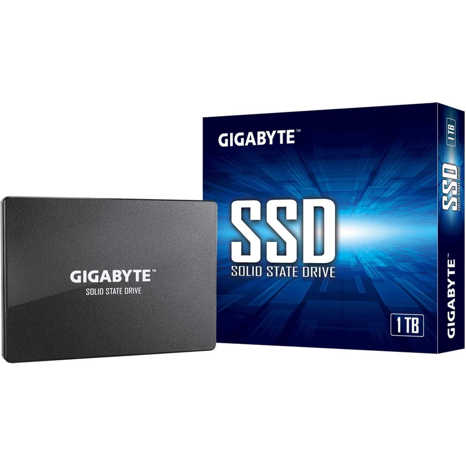 Gigabyte GP-GSTFS31100TNTD (1000 GB, 2.5"), SSD