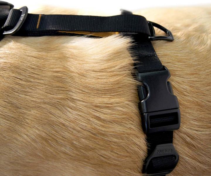 Immagine prodotto Kurgo Tru-Fit Smart Harness (S, Cane, Generale, Jogging, Passeggiare, Sport cane)