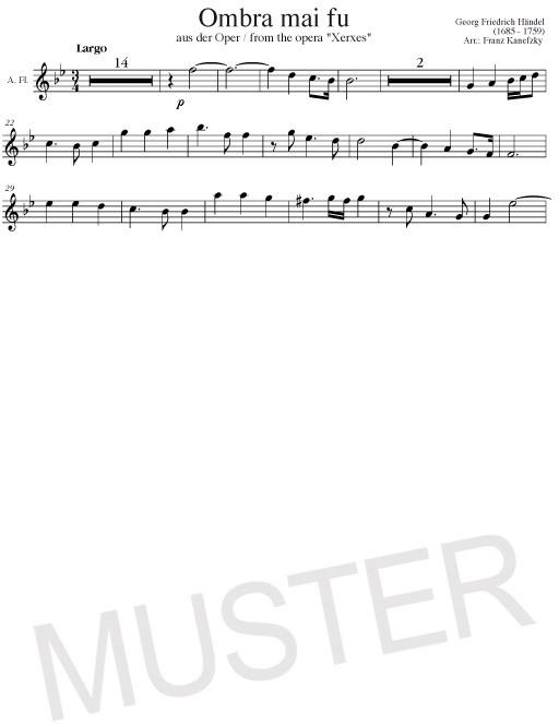 Image du produit Alte Meister für Sopran-/Altblockflöte und Klavier/Orgel (Anglais, Allemand, Helmut Hage, Franz Kanefzky, 2011)