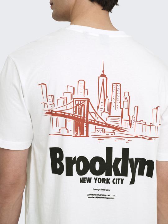 Image du produit Only & Sons Onskeane Rlx Ss Print Tee Noos (M)